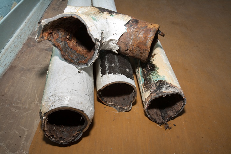 What Are the Risks of Ignoring a Broken Sewer Line?