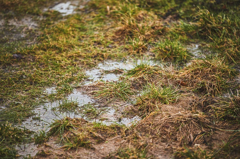 How Can I Tell if My Sewer Line Needs Excavation for Repair?