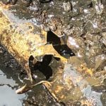 Sewer Line Spot Repair